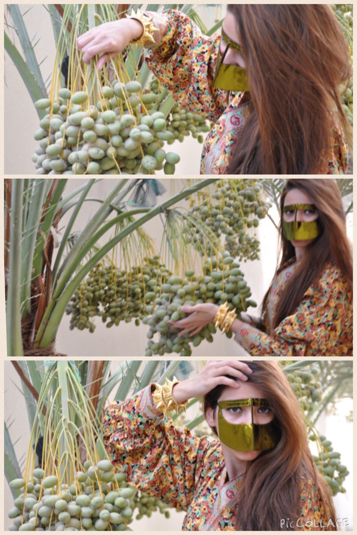 SetiTHC with Palm trees